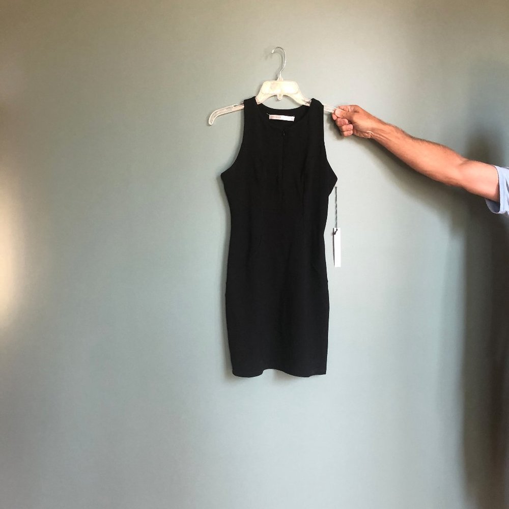 Susana Monaco Dress
